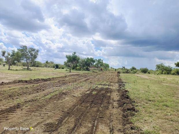 Prime Plots In Malindi