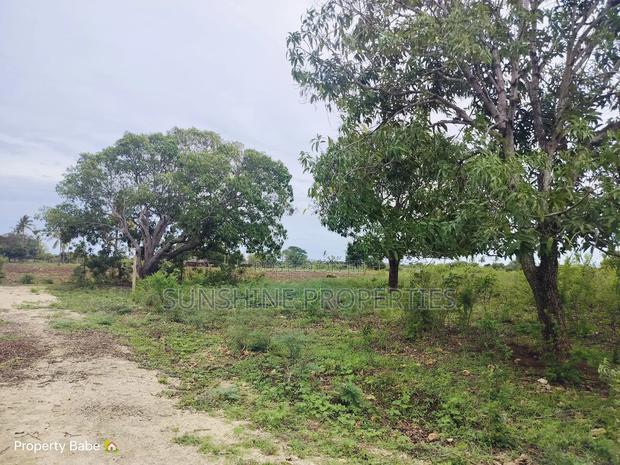 Kizingo-Malindi Plots for Sale