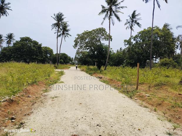 Chumani Plots for Sale