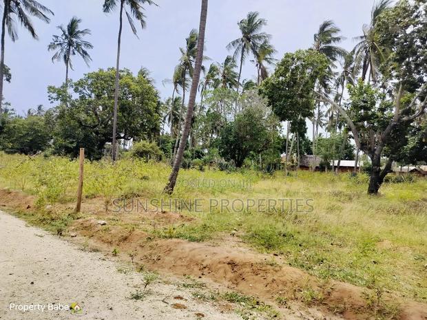 Chumani Plots for Sale