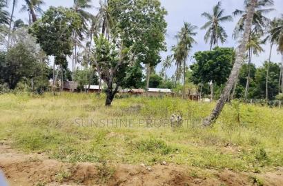 Chumani Plots for Sale