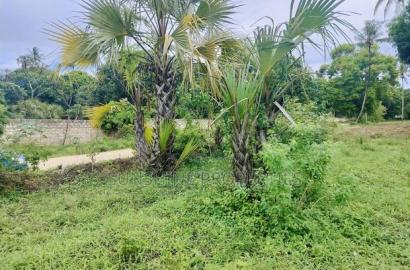 Mtwapa Plots for Sale