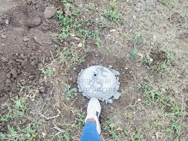 Prime Plots In Malindi