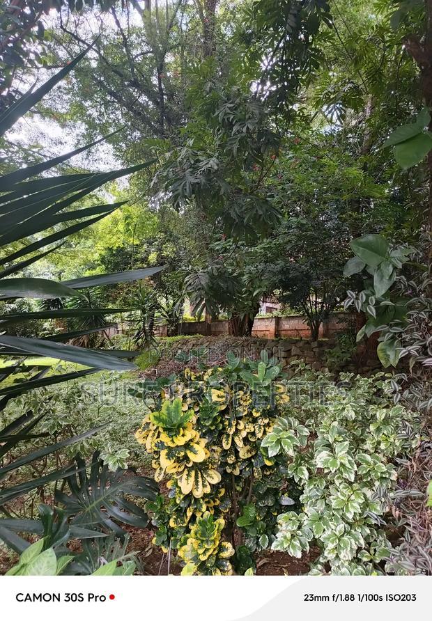 Plot for Sale