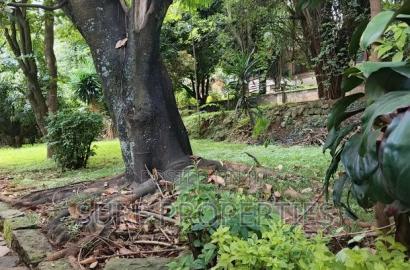 Plot for Sale