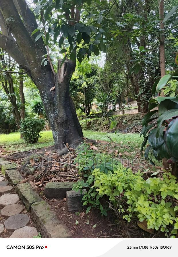 Plot for Sale