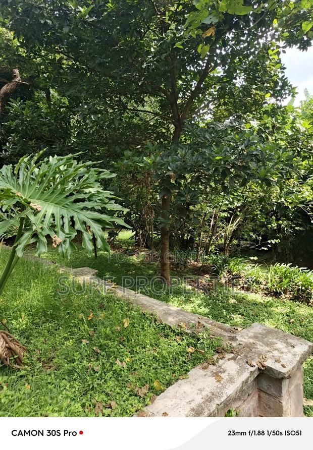 Plot for Sale