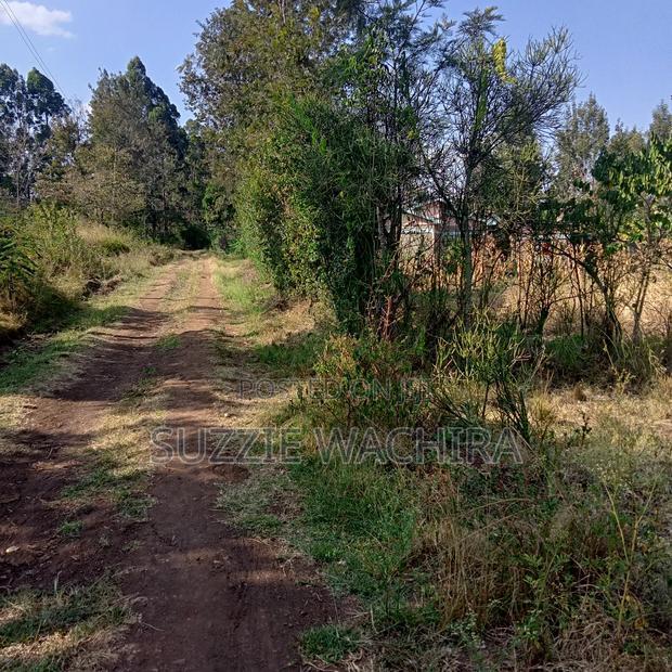 Kenol 11/4 Land for Sale