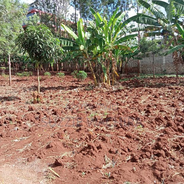 Plots at Kenol,Makuyu and Makutano Ranging From to 5.5M