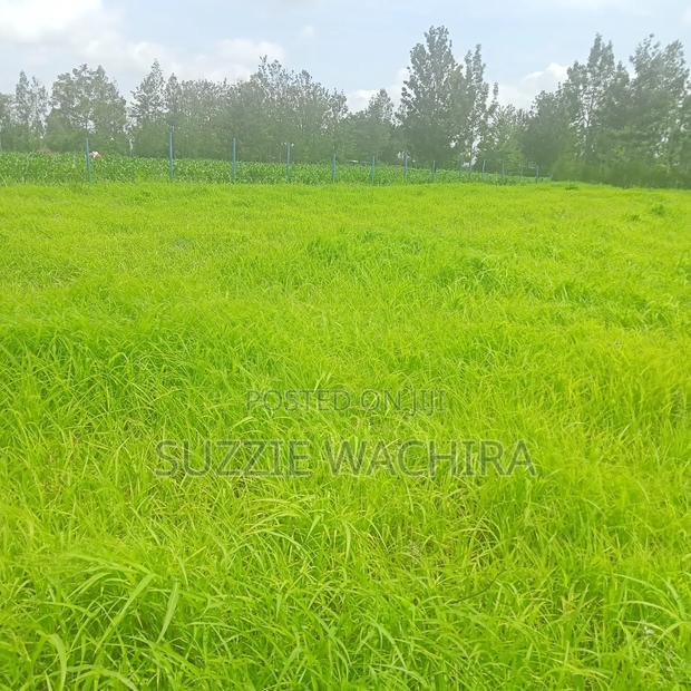 Kenol Katipanga Plots for Sale
