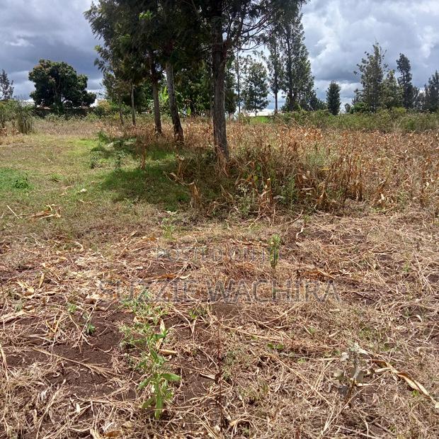 Residential Plots for Sale at Kenol Kimorori at 1.5M