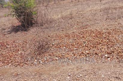 Makutano at Mwea Plots for Sale at 550,000 in Kirinyaga
