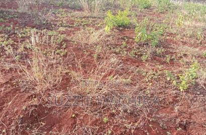 40*80ft Plots at Kenol Along Kagia Road Payable in 6 Months