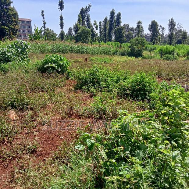 40*90ft Plots Within Kenol Town for Sale in Muranga County