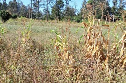 1/2acre Land for Sale at Kenol Muranga County