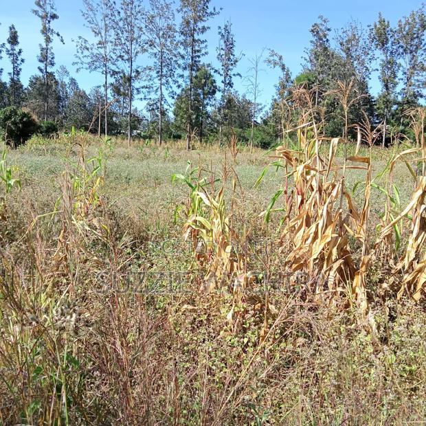 1/2acre Land for Sale at Kenol Muranga County