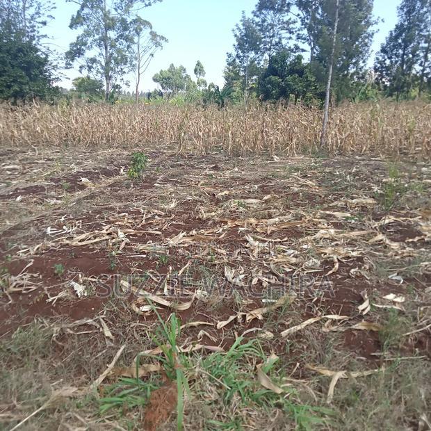 40*80ft Plots for Sale at Kabati Zabka in Muranga