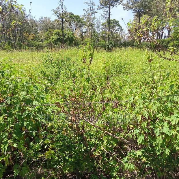 1acre Land for Sale at Kenol Touching Kenol Marua Highway