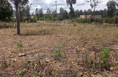 50*100ft Plots for Sale at Kenol Kimorori