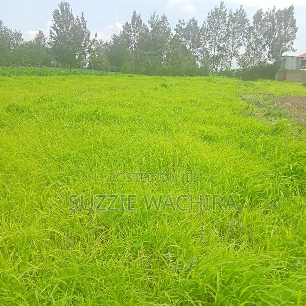 Kenol Katipanga Plots for Sale