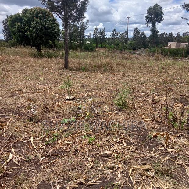 Residential Plots for Sale at Kenol Kimorori at 1.5M