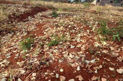40*80ft Plots for Sale at Kenol Along Kagia Road in Muranga