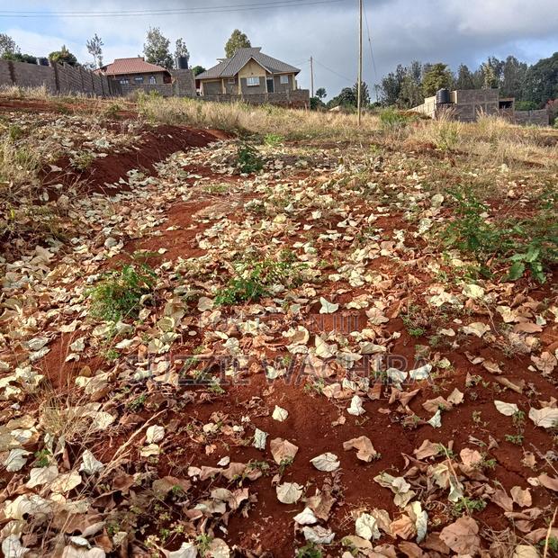 40*80ft Plots for Sale at Kenol Along Kagia Road in Muranga