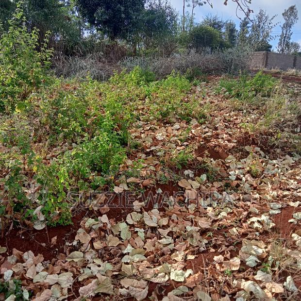 40*80ft Plots for Sale at Kenol Along Kagia Road in Muranga