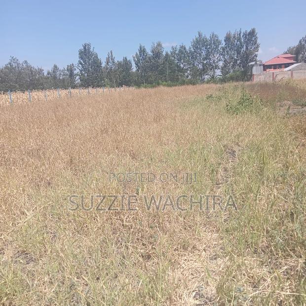 Three 50*100ft Plots Remaining at Kenol Katipanga