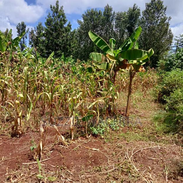 40x80ft Plots at Kenol Town for Sale