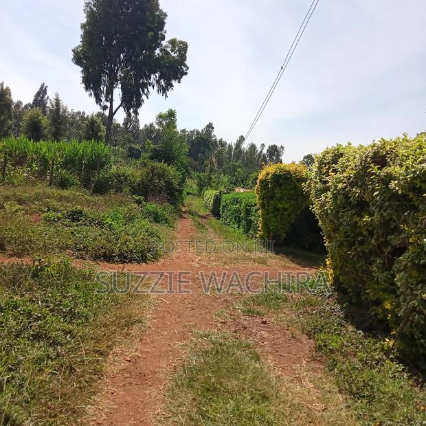 40x90ft Plots for Sale at Kenol Near St Ann High School