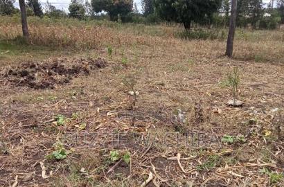 Residential Plots for Sale at Kenol Kimorori at 1.5M