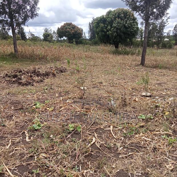 Residential Plots for Sale at Kenol Kimorori at 1.5M