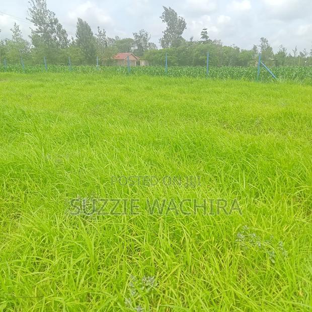 Kenol Katipanga Plots for Sale
