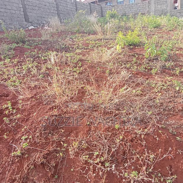 40*80ft Plots at Kenol Along Kagia Road Payable in 6 Months