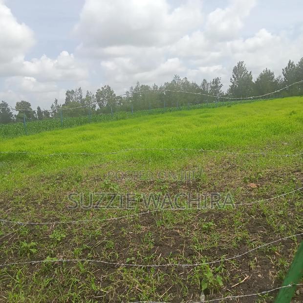 Kenol Plots Along Katipanga Road Measuring 50*100ft For Sale
