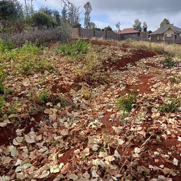 Affordable 50*100ft Plots for Sale at Kenol Kagia Road