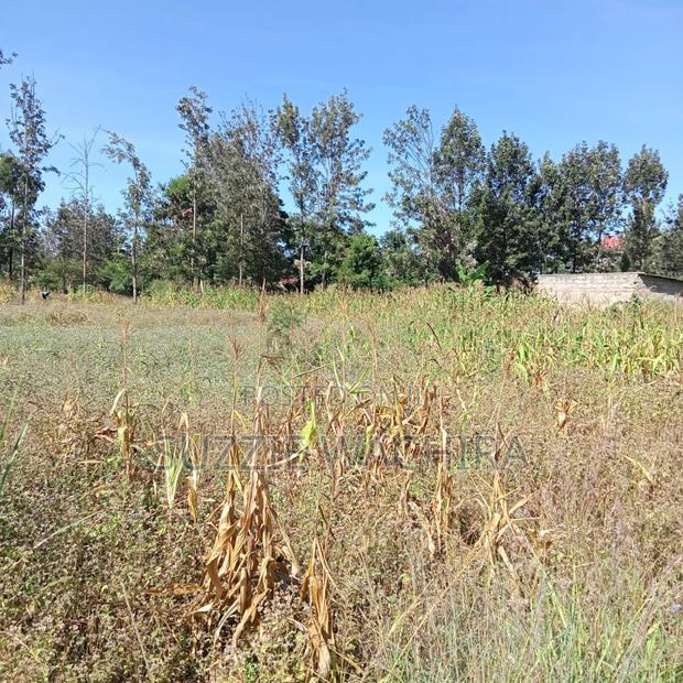 1/2acre Land for Sale at Kenol Muranga County