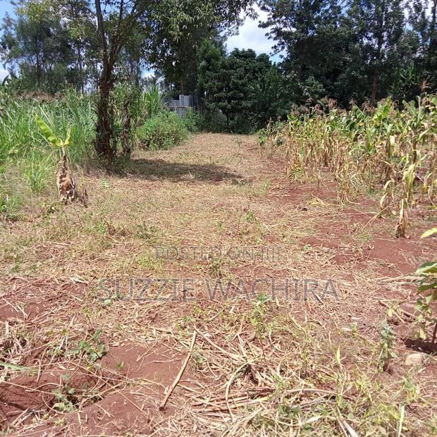 40x80ft Plots at Kenol Town for Sale