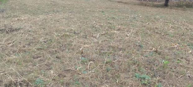 Kenol Plots For Sale At Katipanga.50*100ft Pay In 6months