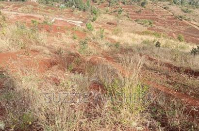 Kagia Road Plots At Kenol Measuring 40*80ft For Sale