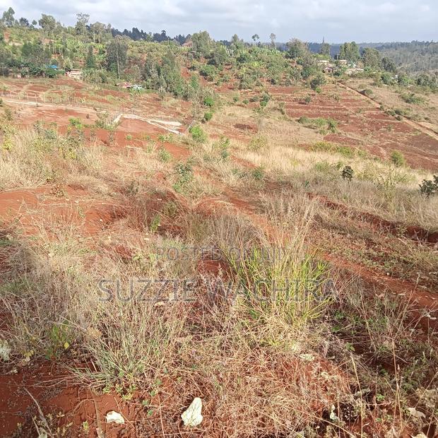 Kagia Road Plots At Kenol Measuring 40*80ft For Sale