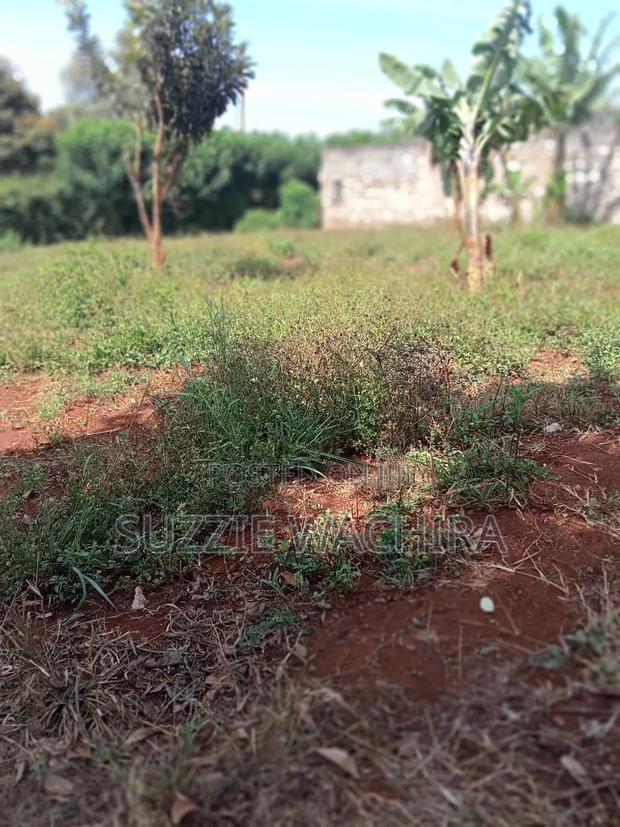 40x90ft Plots for Sale at Kenol Near St Ann High School