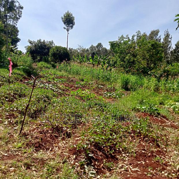 Kenol Town Plots for Sale Along Catholic Road