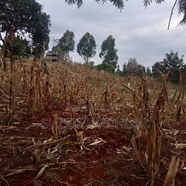 Affordable 40x80ft at Zabka Kabati for Sale
