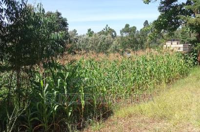 Kenol Town Plots for Sale Along Catholic Road