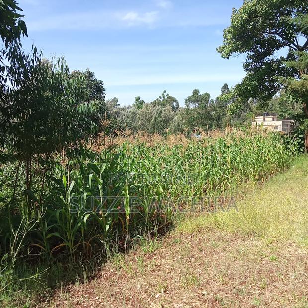 Kenol Town Plots for Sale Along Catholic Road