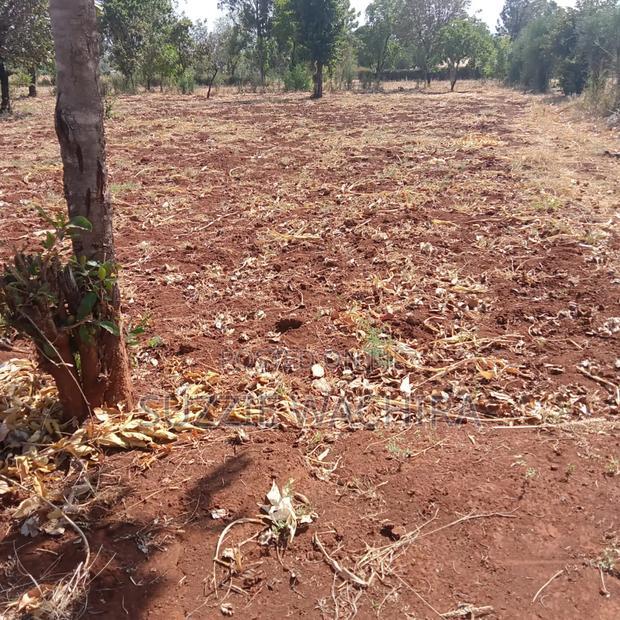 50x100ft Plots for Sale at Mwea P. I for 950,000