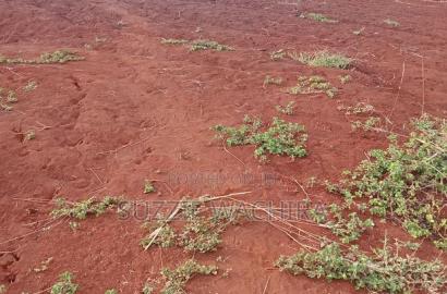 50x100ft Plots at Kenol for Sale