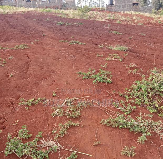 50x100ft Plots at Kenol for Sale